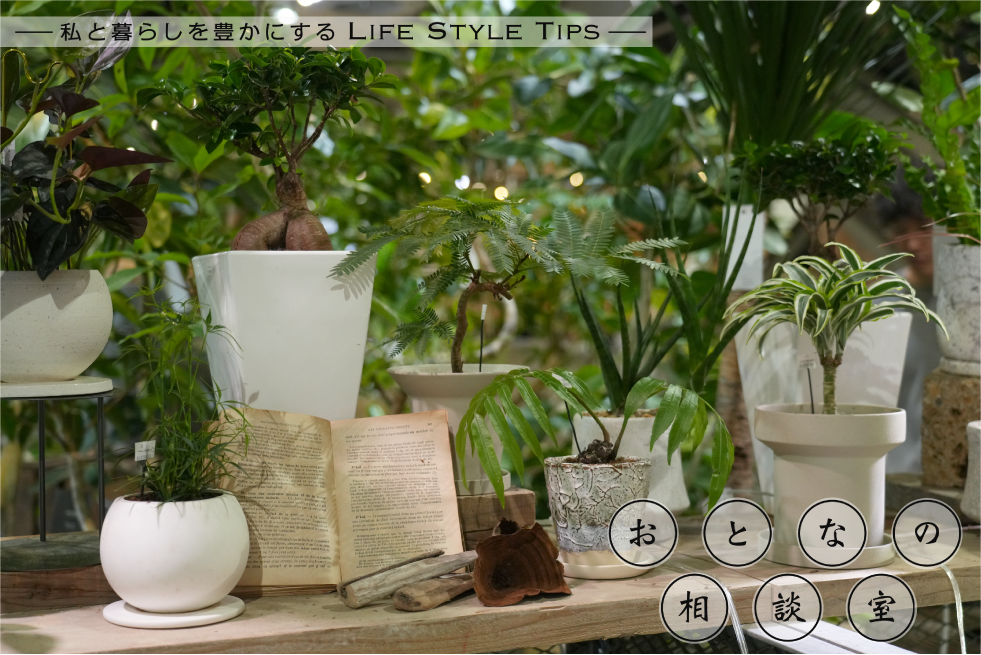 トップページ｜交流Style｜中部電力株式会社
