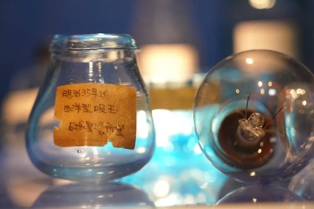 ガラス・器を追求する200年企業石塚硝子株式会社（愛知県岩倉市）